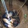 Sapi Kurban Masuk ke Sumur Sedalam 4 Meter, Tim Damkar Bengkulu Evakuasi dalam 15 Menit