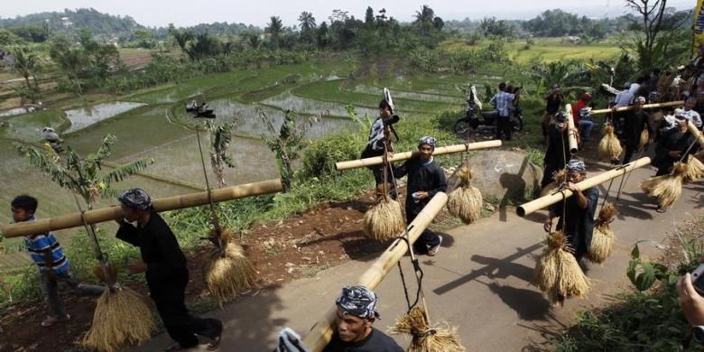 Warga mengarak padi dan hasil bumi lainnya (helaran dongdang) dari Desa Pasir Eurih menuju Kampung Sindang Barang, Kecamatan Taman Sari, Kabupaten Bogor, Minggu (23/1/2011). Arak-arakan ini merupakan rangkaian puncak tradisi Seren Taun Guru Bumi yaitu tradisi tahunan suku Sunda sebagai ungkapan rasa syukur kepada Tuhan atas hasil panen bumi. Acara puncak ditandai dengan memasukkan padi ke dalam lumbung Ratna Inten.  