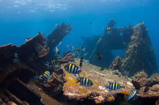 Cari Spot Diving di Bali? Kunjungi 3 Pantai Ini