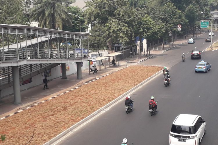 Haltw bus di depan Kampus Universitas Atma Jaya, Jalan Jenderal Sudirman, yang terhalang area rerumputan, Selasa (24/7/2018).