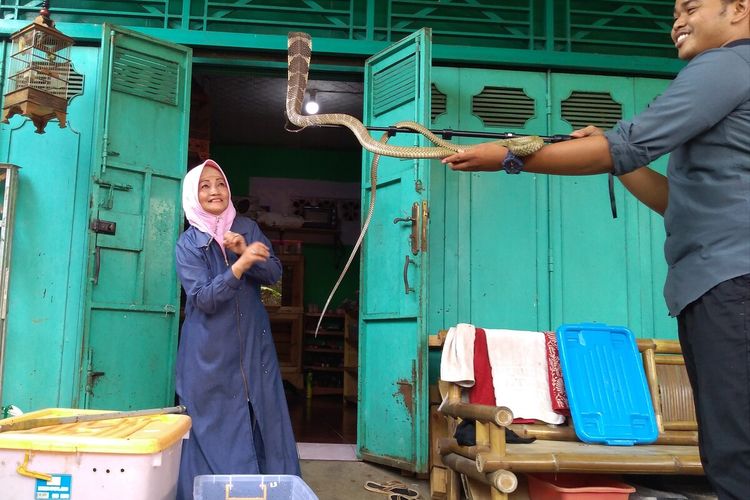 Iin Ayu (55) mengoleksi berbagai macam ular di garasi rumahnya Kelurahan Karangpucung, Kecamatan Purwokerto Selatan, Kabupaten Banyumas, Jawa Tengah.