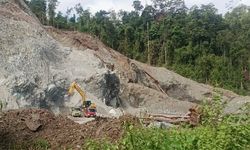 APNI: Penerapan ESG Industri Nikel Harus Dimulai dari Tambang