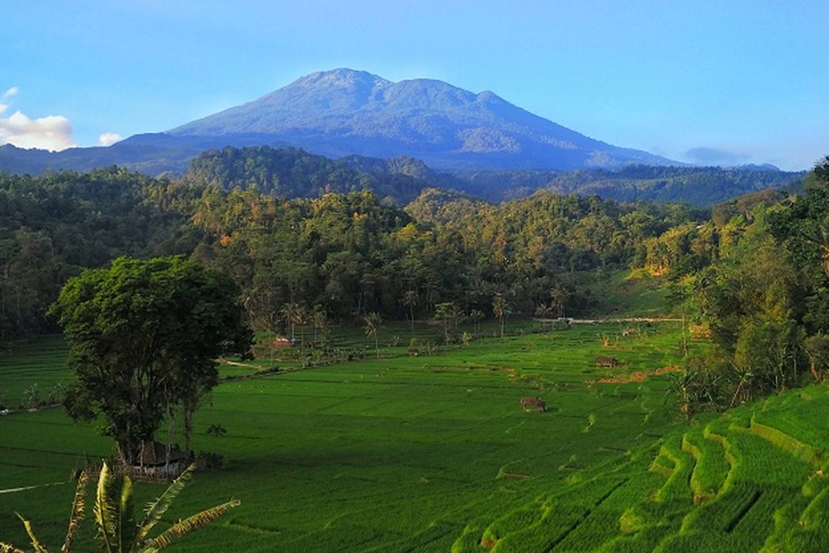 Ilustrasi gunung - Pemandangan Gunung Ciremai dan persawahan.