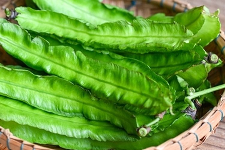 Sayur kecipir yang sudah dipanen