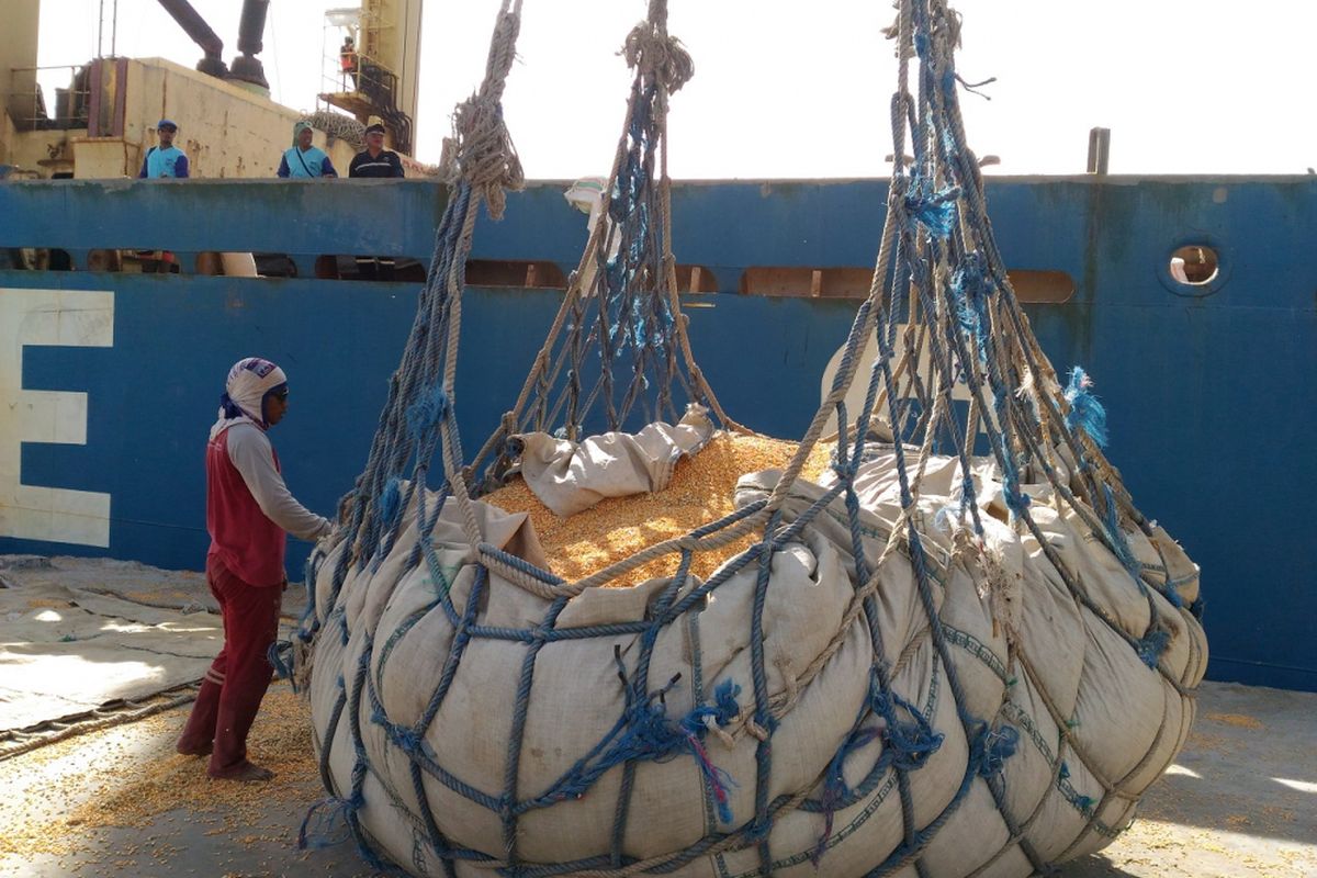 Kementerian Pertanian melepas ekspor jagung dari Sumbawa di Pelabuhan Sumbawa Besar, NTB, Selasa (20/3/2018)