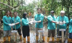 Komitmen Jaga Kawasan Pesisir, IWIP Ajak Masyarakat Tanam 5.000 Bibit Mangrove