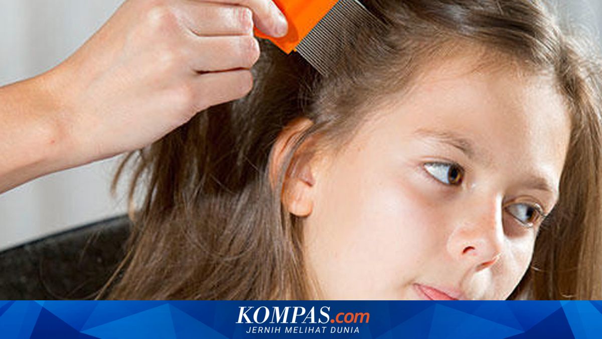 Pilihlah Sisir yang Sesuai dengan Jenis Rambut