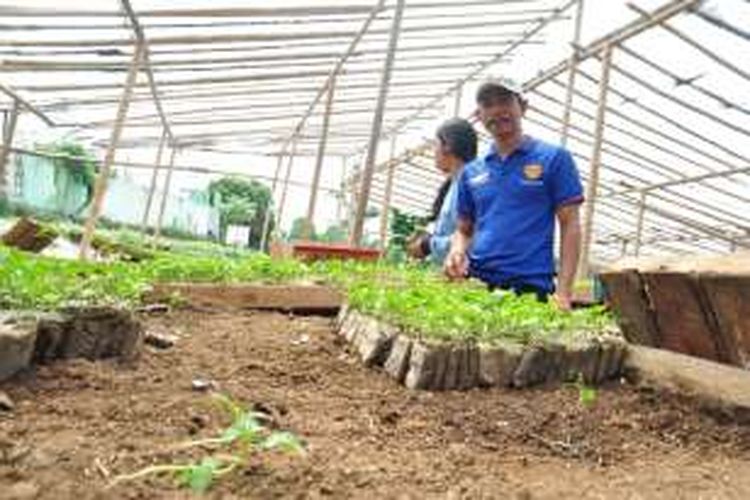 Kebun Bibit Hortikultura Cipto Karomah, Desa Duren, Bandungan, rata-rata masih bisa menjual 10.000 bibit sayuran kepada petani setuap hari.
