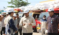 Stok CBP Capai 3,7 Juta Ton, Wamentan Pastikan Bulog Bisa Jaga Kualitas Beras