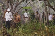 Perusakan Hutan Terjadi Sejak 90-an, Pemerintah Dinilai Teledor