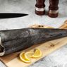 Apa Itu Ikan Black Cod Alaska di MasterChef dan Mengapa Harganya Mahal?