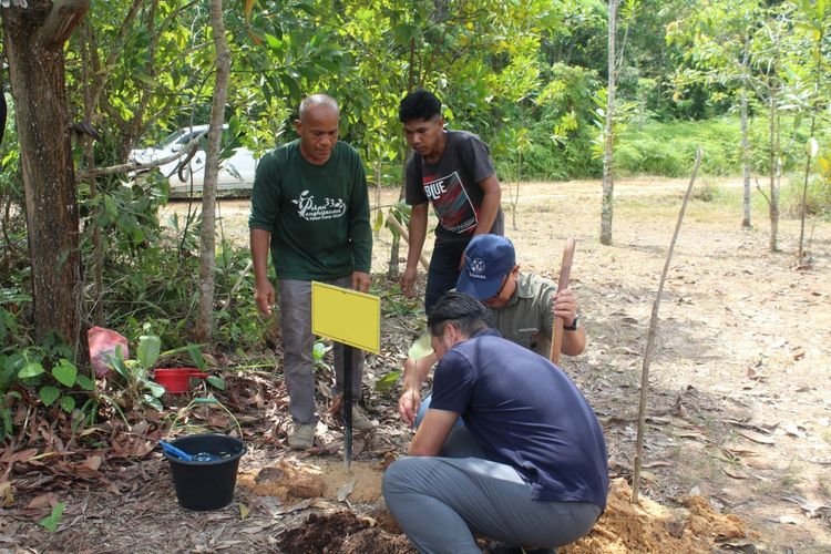 Belantara Foundation Gandeng Perusahaan Jepang Tanam Pohon di Hutan Riau