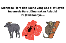 Mengapa Flora dan Fauna yang ada di Wilayah Indonesia Barat Dinamakan Asiatis? Ini Jawabannya....