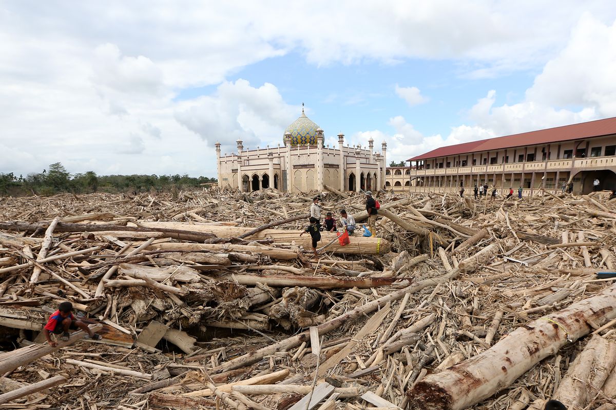 BANJIR SUMATERA: Petugas Kementerian Kehutanan dan Dinas Kehutanan Provinsi Aceh mengambil sampel kayu gelondongan yang terbawa arus luapan Sungai Tamiang, di area pasantren Islam Terpadu Darul Mukhlishin, Desa Tanjung Karang, Aceh Tamiang, Aceh, Jumat (19/12/2025). Kemenhut telah mengirim tim verifikasi dan membentuk tim investigasi gabungan bersama Polri untuk menelusuri asal-usul kayu gelondongan yang ditemukan pascabencana banjir di Sumatera Barat, Sumatera Utara dan Provinsi Aceh. 