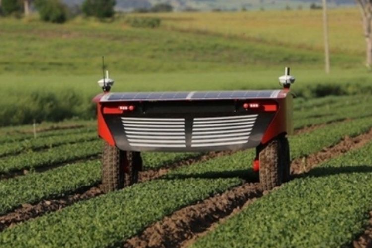 Robot pertanian