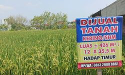 Cek Sertifikat Tanah Terjangkau, Tapi Bisa Selamatkan Aset Miliaran