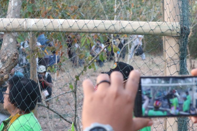Menteri Lingkungan Hidup dan Kehutanan, Siti Nurbaya di dalam kandang satwa hasil sitaan dan penyerahan di Taman Nasional Baluran, Situbondo, Jawa Timur, Kamis (10/8/2017). Pelepasliaran satwa liar di Taman Nasional Baluran merupakan salah satu bagian acara perayaan Hari Konservasi Nasional 2017.