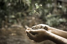 Ketahui 5 Manfaat Air Hujan, Edukasi Anak untuk Mengenal Fenomena Alam
