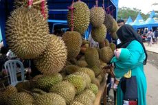 Ke Bondowoso, Jangan Lupa Mampir ke Kampung Durian