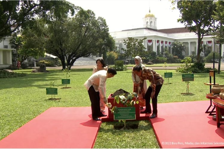  Presiden Joko Widodo dan Presiden Filipina Ferdinand Marcos Jr menanam pohon kayu ulin di Istana Kepresidenan Bogor, Senin (5/9/2022).