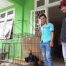 Cerita Petani Selamatkan Burung Langka Rangkong Badak yang Jatuh dari Langit 