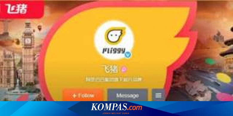 Aplikasi Babi Terbang Memicu Perdebatan Sengit Di China Halaman All Kompas Com