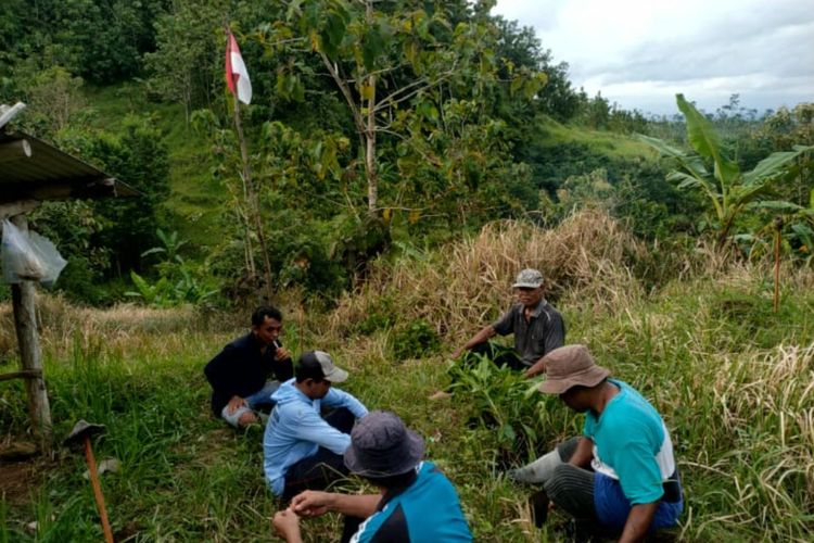 Terganjal Regulasi, Pengelolaan Hutan oleh Petani di Blitar Lambat