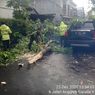 Hujan Disertai Angin Kencang, 27 Pohon Tumbang di 25 Lokasi di Jakarta Barat