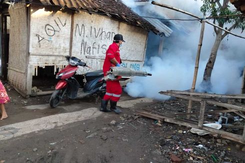 Chikungunya Meluas di Kota Bima, Dinkes: Ditemukan di 20 Kelurahan, Total 343 Kasus