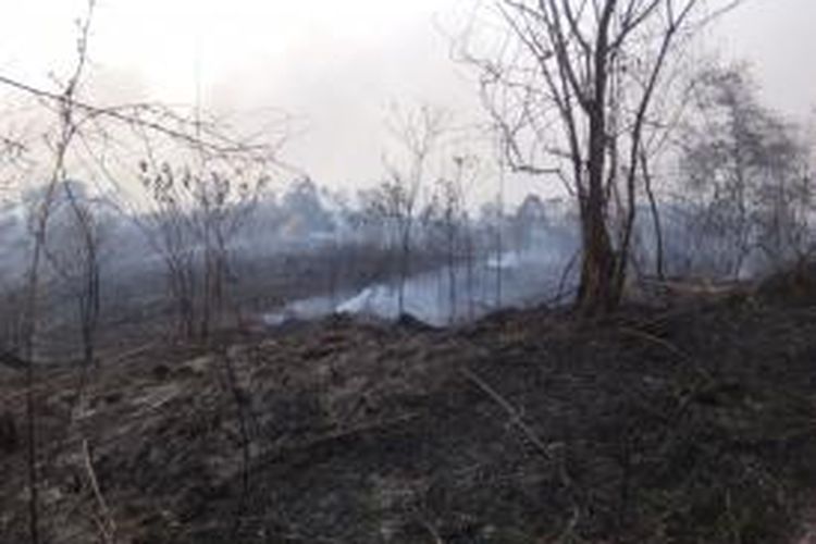 Foto merupakankiriman para voulentir BOSF di Samboja. Sedang terjadi kebakaran yang masif di luasan lebih  40 hektar hutan di Kecamatan Samboja, Kabupaten Kutai Kartanegara, Kalimantan Timur. Kebakaran berada di area konservasi orangutan yang dikelola Borneo Orangutan Survival (BOS) Samboja. Puluhan relawan dan TNI berjibaku memadamkan kebakaran kali ini.