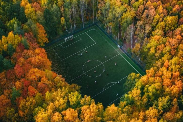 A soccer field deep in the forest at Meshchersky Park in Moscow
