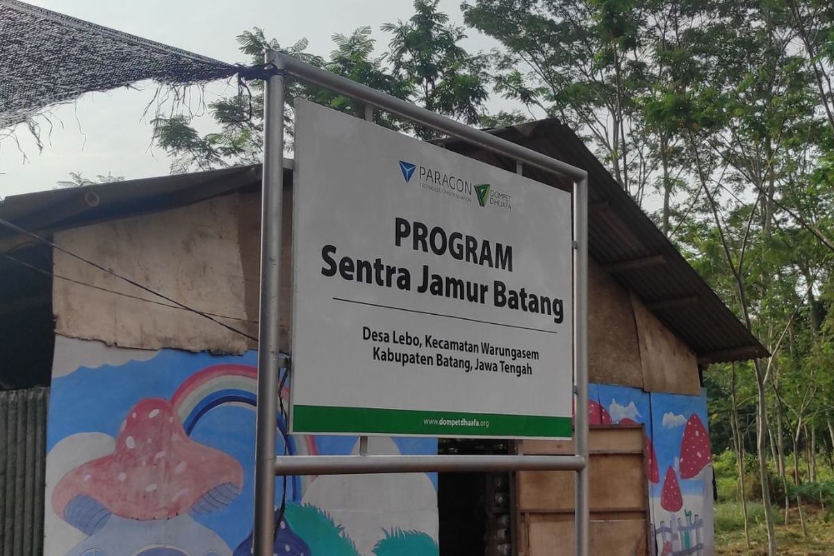 Penampakan Sentra Jamur Batang di Desa Lebo, Kecamatan Warungasem, Kabupaten Batang, Jawa Tengah, Selasa (30/5/2023). 