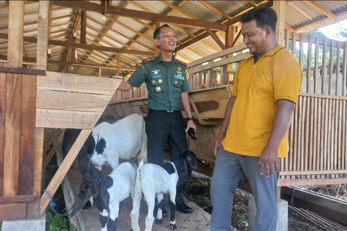 Cerita Anggota TNI Sertu Suryadi Sukses Ternak Kambing Etawa Beromzet  Puluhan Juta Rupiah Halaman all - Kompas.com