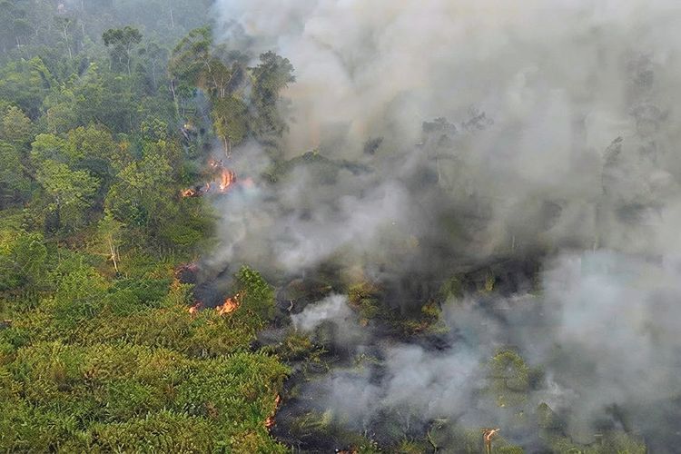 200 Sumur Bor untuk Padamkan Karhutla, IABI Ingatkan Harus Ada Operator dan Fungsi yang Jelas