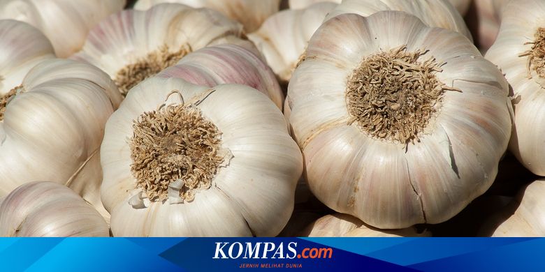 Mengenal 5 Manfaat Bawang Putih Dan Kandungan Gizinya Halaman All Kompas Com Mengenal 5 Manfaat Bawang Putih Dan Kandungan Gizinya Halaman All Kompas Com
