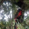 Viral, Video Sepeda Motor Tersangkut di Atas Pohon, Begini Ceritanya