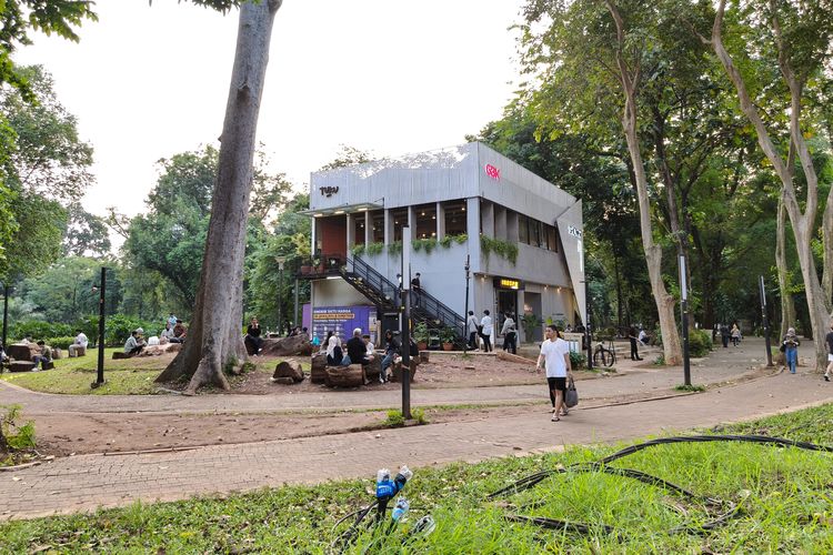 Suasana sore hari di daerah Gelora Bung Karno. Beberapa orang mondar-mandi, ada yang duduk bersantai, minum kopi sambil bercengkrama. Momen ini diabadikan menggunakan kamera Realme GT 7 Dream Edition. Hasil gambarnya cukup kontras, warna hijau yang konsisten cenderung warm color (kekuningan). Namun, pada bagian langit tampak over-exposure. Sebab, warna asli saat itu adalah warna jingga