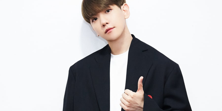 Fakta Seputar Baekhyun Exo Selalu Ingat Fans Yang Pakai Kostum Unik Halaman All Kompas Com