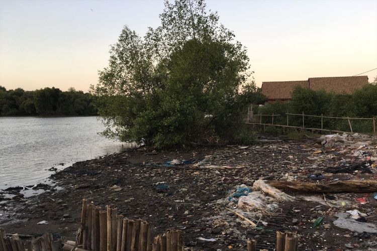 Akibat abrasi hingga rumah-rumah di Desa Pantai Sederhana, Kecamatan Muara Gembong, Kabupaten Bekasi,semakin dekat dengan lautan.