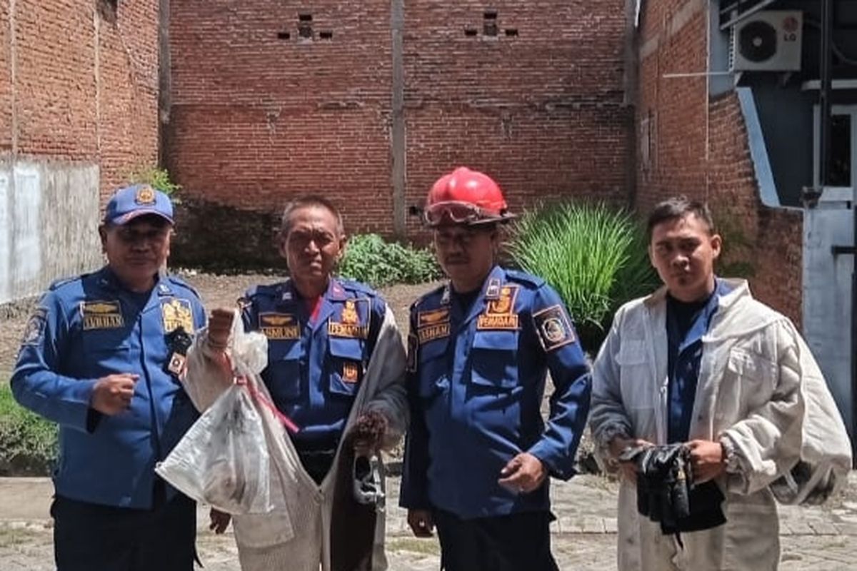 Petugas Damkar Banyuwangi melakukan evakuasi. Rabu (29/1/2025) 