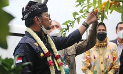 Mentan SYL Targetkan Pengembangan 1 Juta Bibit Jeruk Purut