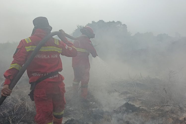 Karhutla di Rokan Hilir Belum Terkendali, Kekuatan Manggala Agni Ditambah