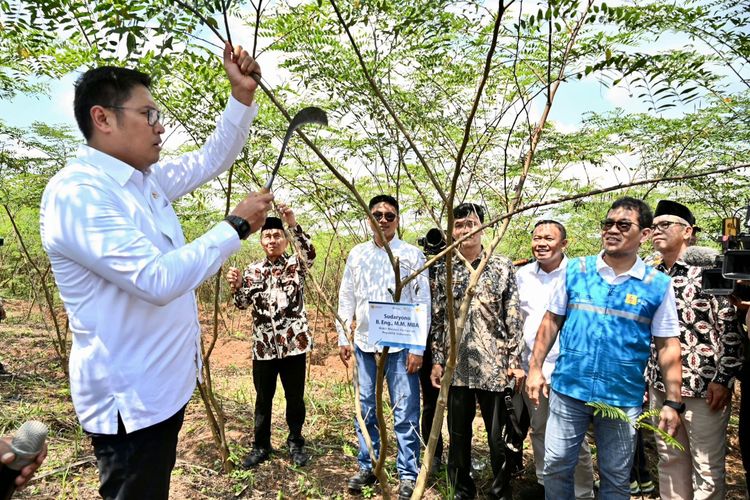 Peresmian program Pengembangan Ekosistem Biomassa Berbasis Ekonomi Kerakyatan dan Pertanian Terpadu di lahan kritis seluas 100 hektare (ha) di Desa Bojongkapol, Kecamatan Bojonggambir, Kabupaten Tasikmalaya, Kamis (26/9/2024).
