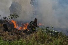 Riau Tetapkan Status Siaga Darurat Kebakaran Hutan dan Lahan 