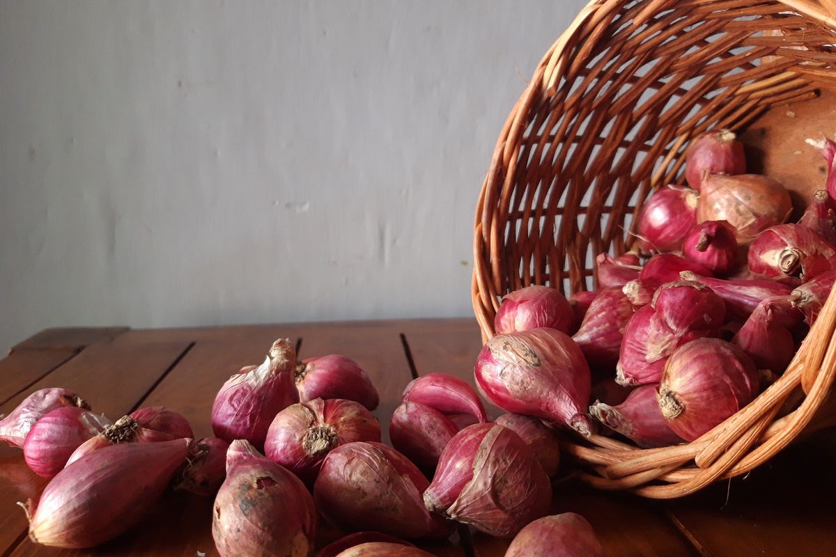 Ilustrasi bawang merah. 