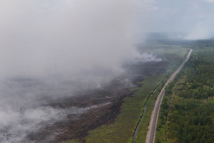 Dishut Kalteng Terbangkan Drone 2 Jam Sekali, Pantau Titik Api di Area Konservasi Tahura