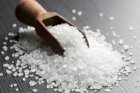 Manfaat Garam Krosok untuk Tanaman Pepaya dan Cara Aplikasinya