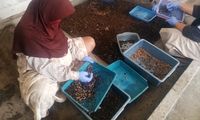 Kebiasaan Kecil yang Membentuk Budaya Bersih