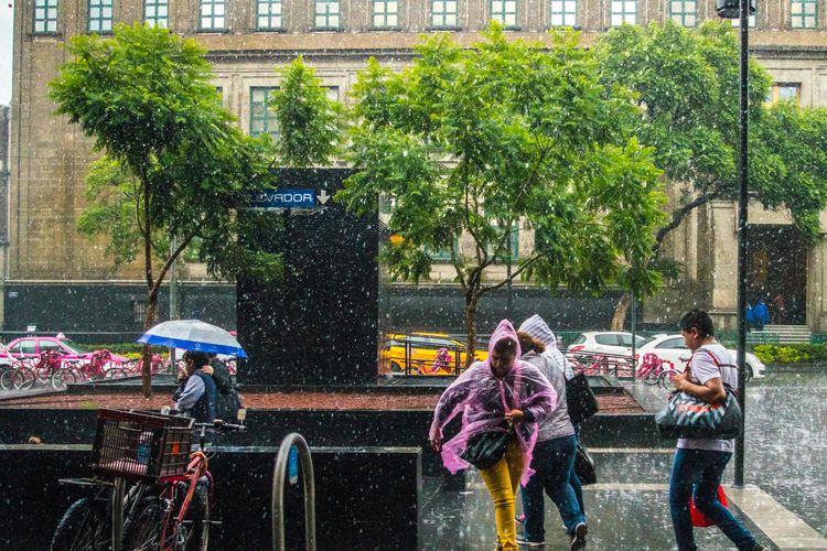 Ilustrasi hujan. BMKG merilis daftar wilayah yang berpotensi mengalami hujan lebat disertai angin kencang pada 23?24 Oktober 2025.