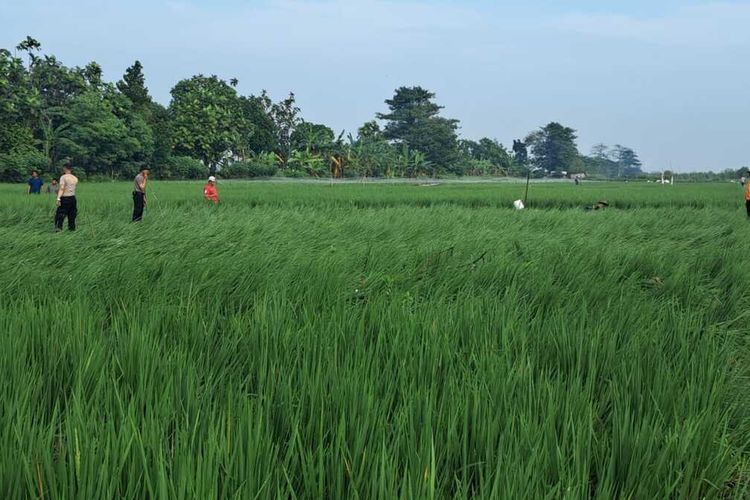 Banjir Semarang, Dua Warga Meninggal Usai Terseret Arus